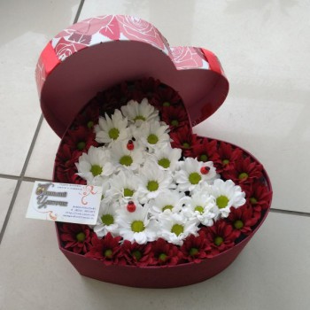 Коробка с цветами №22 "Ромашка"